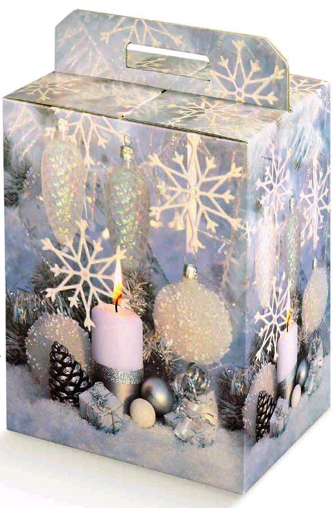 SCATOLA PORTA PANETTONE + BOTTIGLIA INVERNO 330X250X350 30PZ X CT