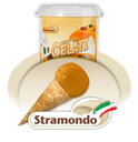 COPERTURA STRAMONDO PINGUINA ARANCIA 1KG 12CF X CT