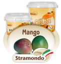 FRUTTA CONCENTRATA STRAMONDO FRUTTAGEL MANGO 3KG 4PZ X CT