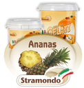FRUTTA CONCENTRATA STRAMONDO FRUTTAGEL ANANAS 3KG 4PZ X CT