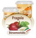 FRUTTA CONCENTRATA STRAMONDO FRUTTAGEL FRAGOLA 3KG 4PZ X CT