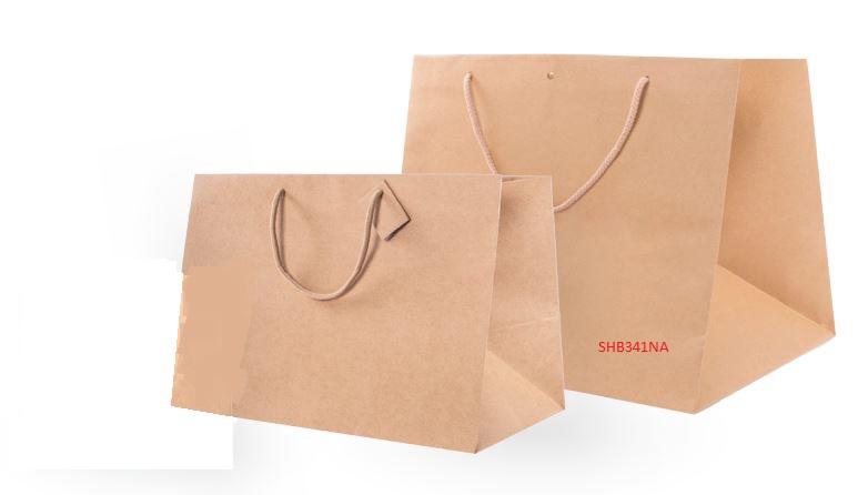 SHOPPERS KRAFT CATERING 38+31X32 AVANA 10PZ X 10CF X CT
