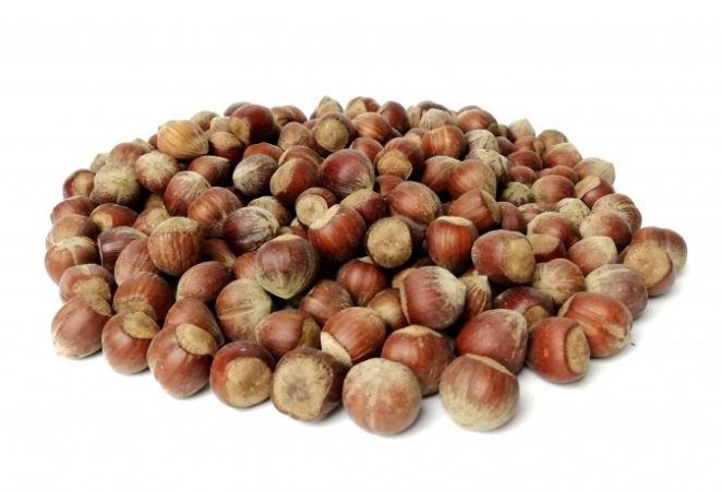 NOCCIOLE CON GUSCIO TOSTATE 5KG