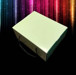 [CL25V] SCATOLA PORTA COLOMBA DELPIN CUBOTTO 25X33X15 VERDE BICOLORE 25PZ X 2CF X CT