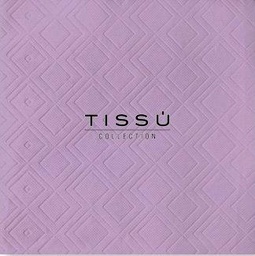 TOVAGLIOLI 38X38 2V INFIBRA TISSU' COLORATO 40PZ X 36CF X CT
